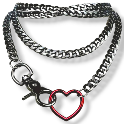Collar castigo